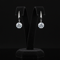 Luxe Crystal Drop örhängen
